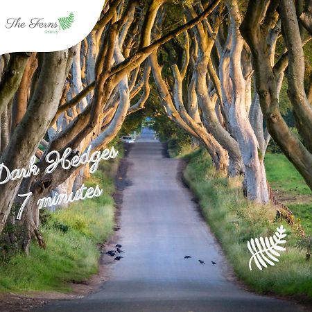 The Ferns-Ideal Base For Exploring The Causeway Coast Armoy Екстериор снимка